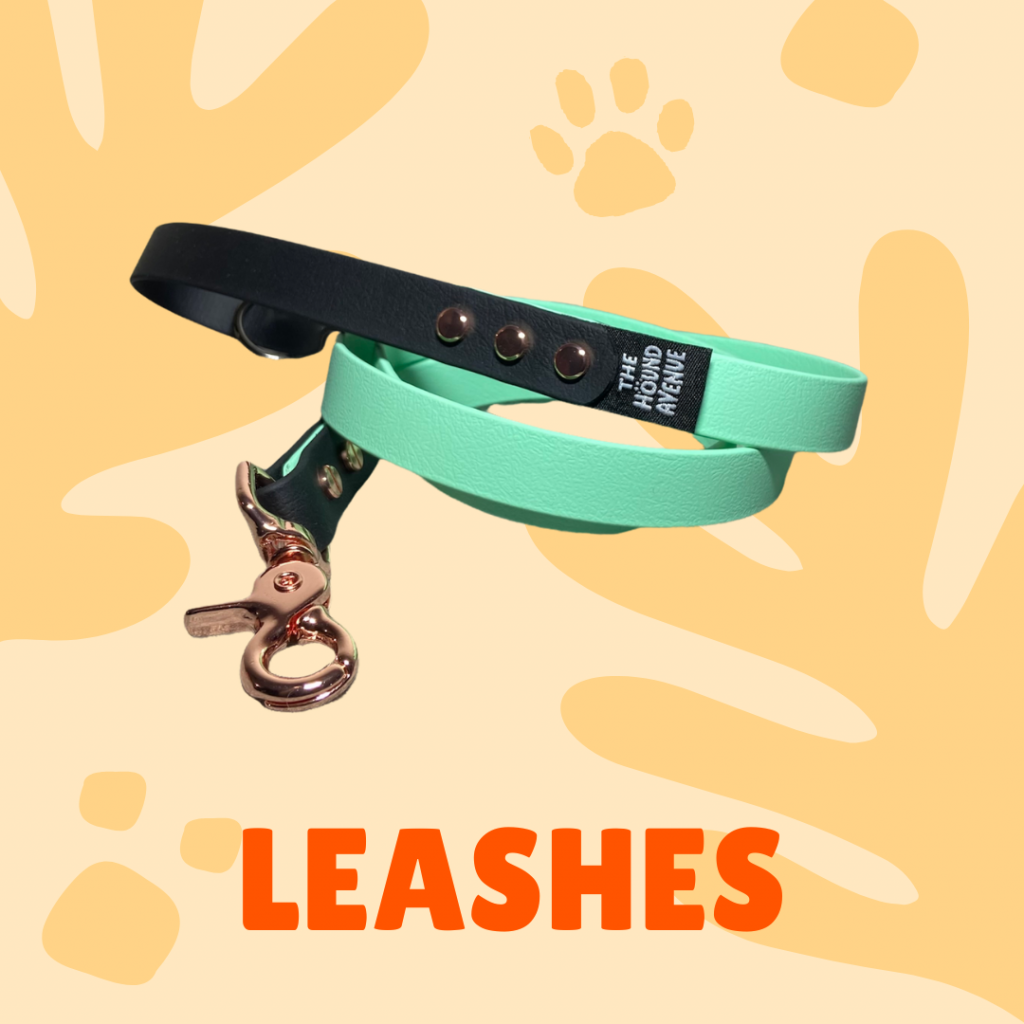 Pet accessories Biothane Leashes
