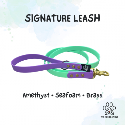 Pet Accessories Biothane Signature Leash Amethyst Seafoam