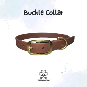 Biothane Buckle collar