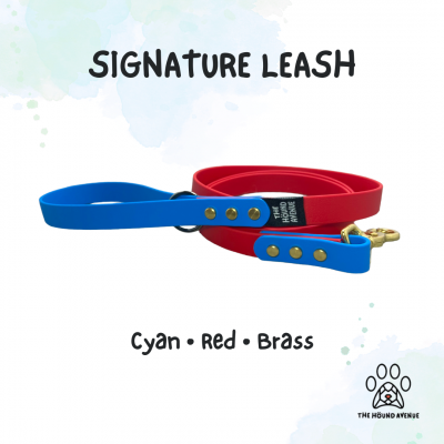 Pet Accessories Biothane Signature Leash Cyan Red