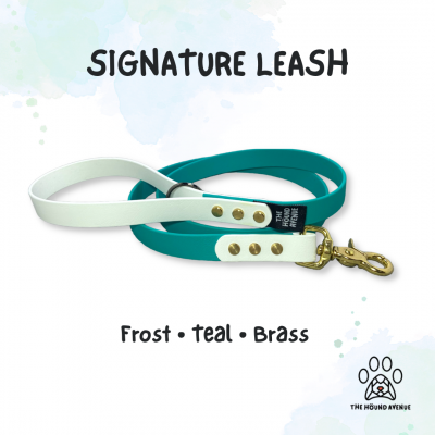 Pet Accessories Biothane Signature Leash White Teal