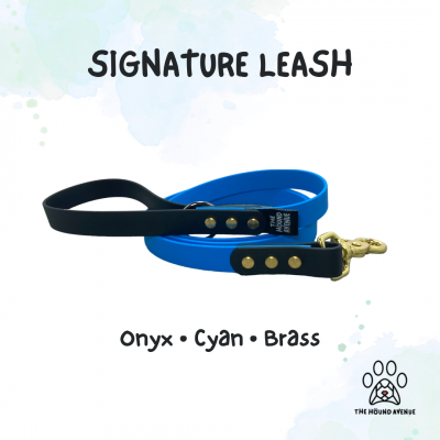 Pet Accessories Biothane Signature Leash Black Cyan