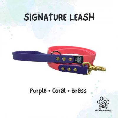 Pet Accessories Biothane Signature Leash Purple Coral