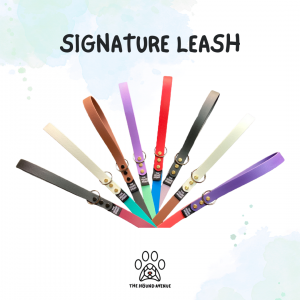 Pet Accessories Biothane Signature Leash