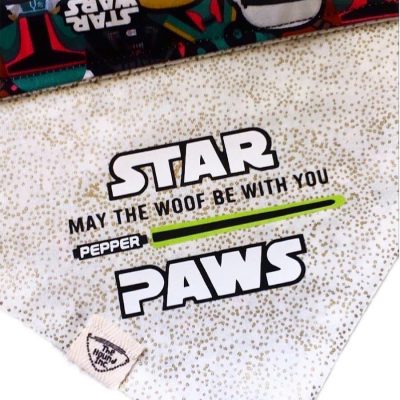 Pet Accessories Reversible Bandanas Star Paws