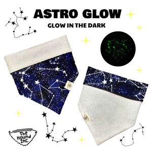 Pet Accessories Reversible Bandanas Glow in the Dark Astro